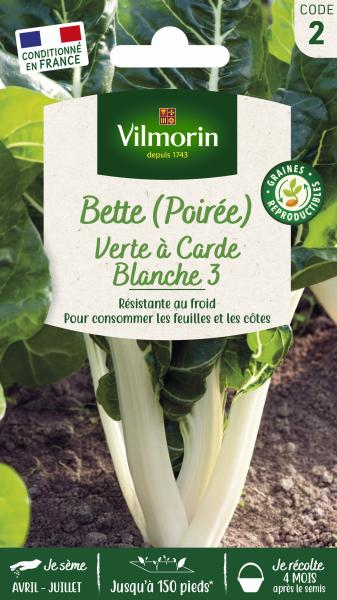 Potagères - Poirée Verte à Carde Blanche 3 - PACKAGING_RECTO